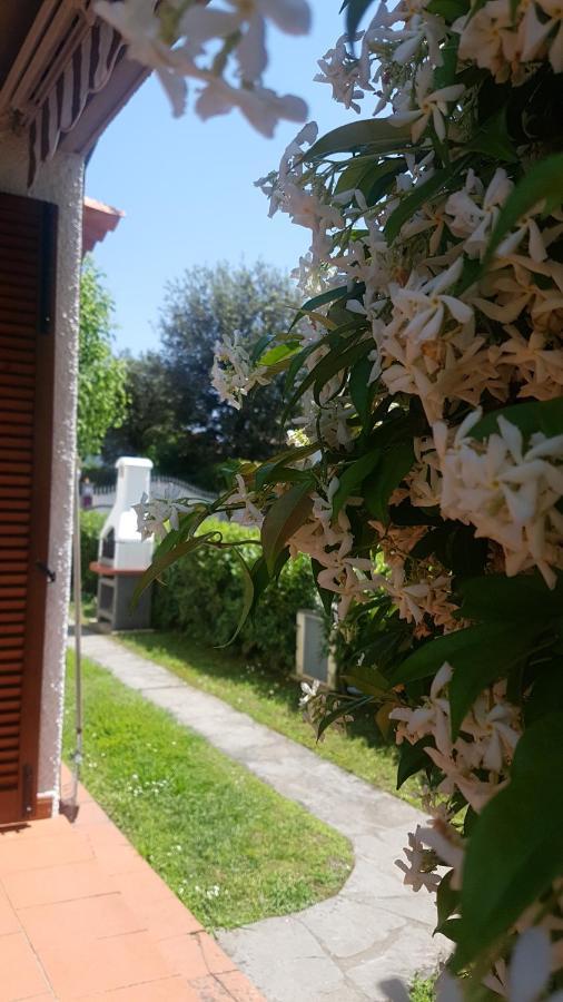 Villetta Cinquale Versilia Экстерьер фото